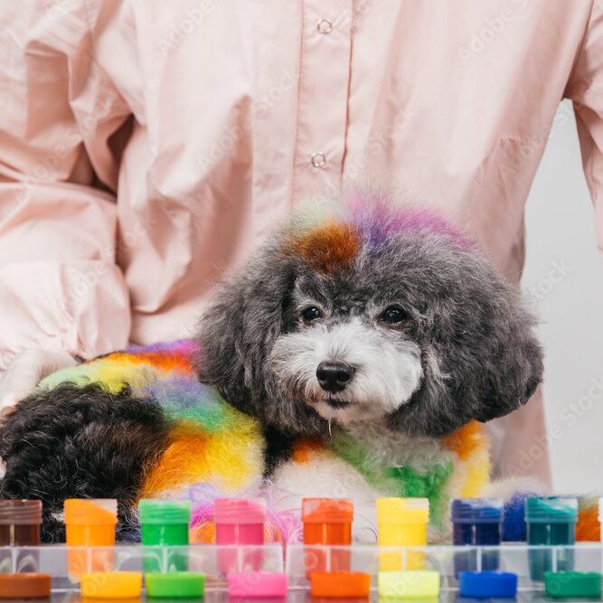 A colorful poodle with rainbow fur stands behind paint jars.